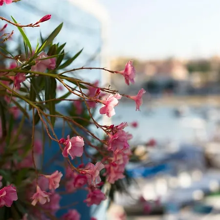 Dipintodiblu Charming House Bed and Breakfast Λαμπεντούζα