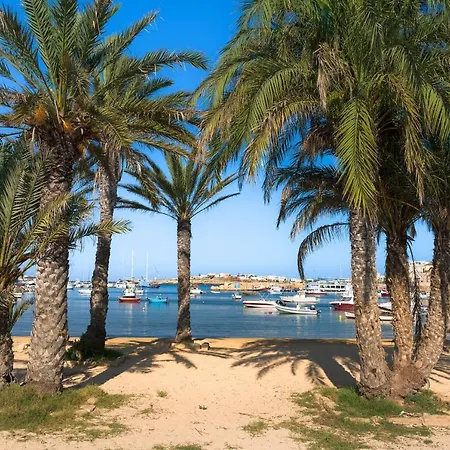 Dipintodiblu Charming House