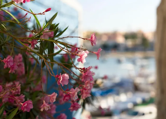 Dipintodiblu Charming House לינה וארוחת בוקר למפדוזה